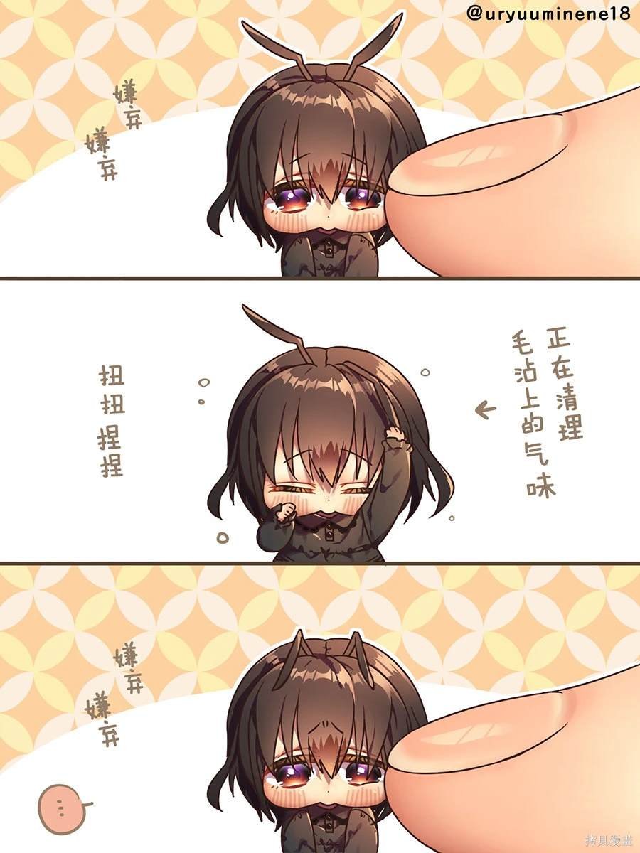 进入无限修发篇的蚂蚁酱