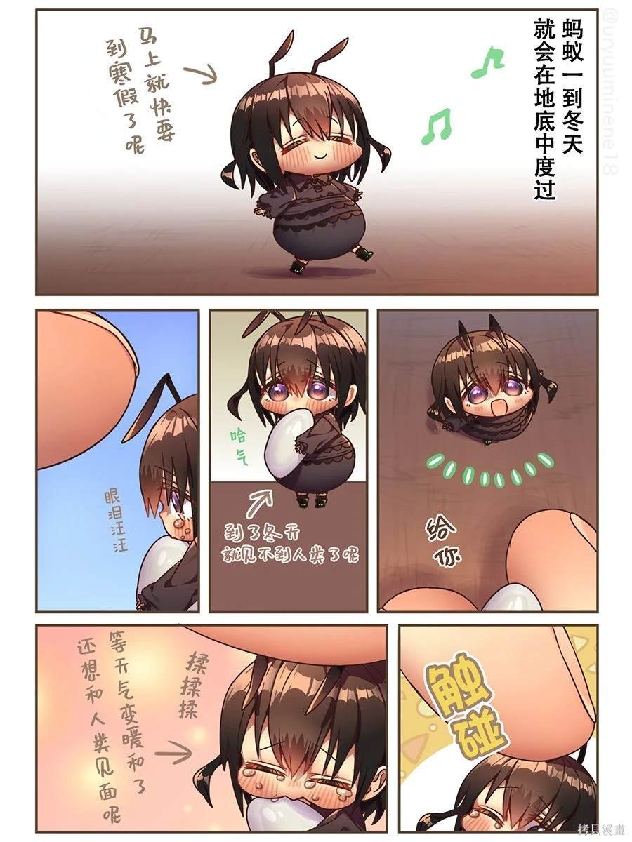 马上就要过冬的小蚂蚁