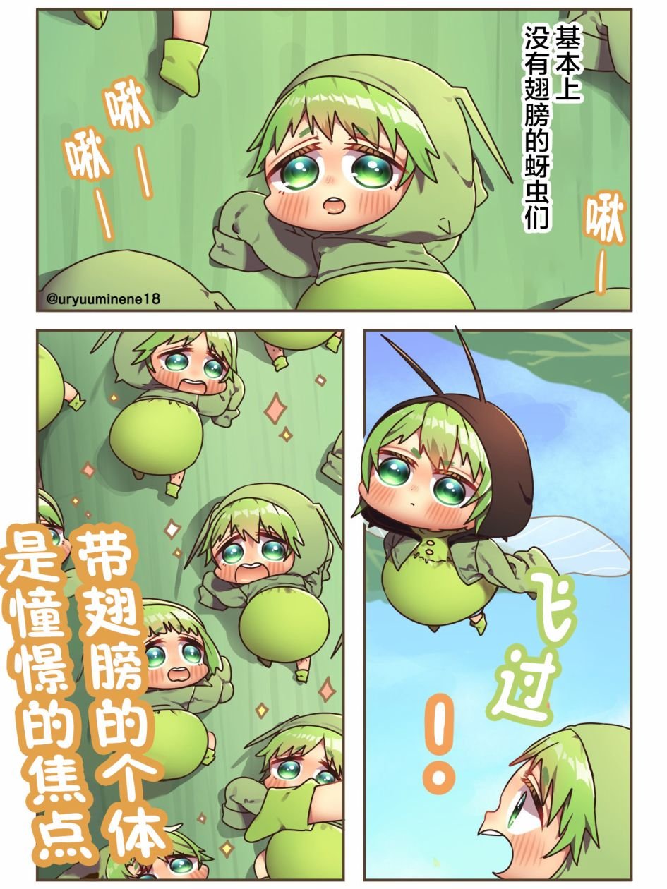 憧憬的对象