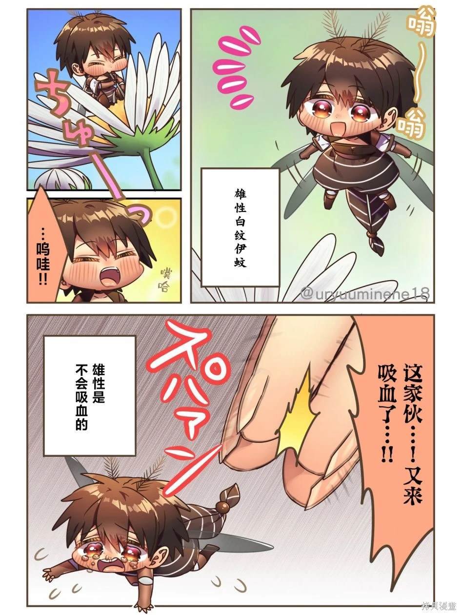 被冤枉的白纹伊蚊