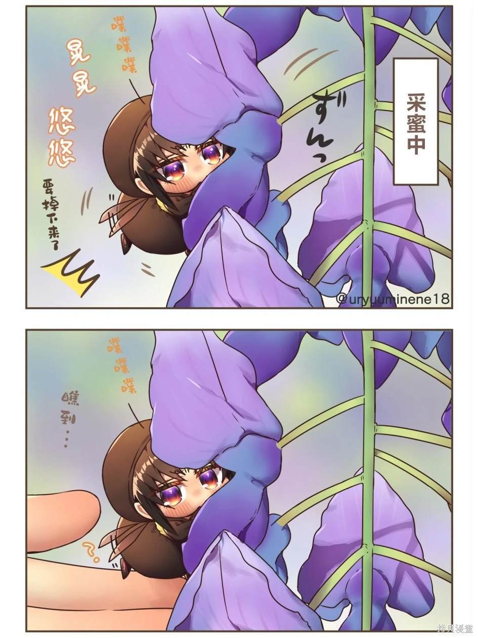 采蜜中的熊峰好像就要掉下来了