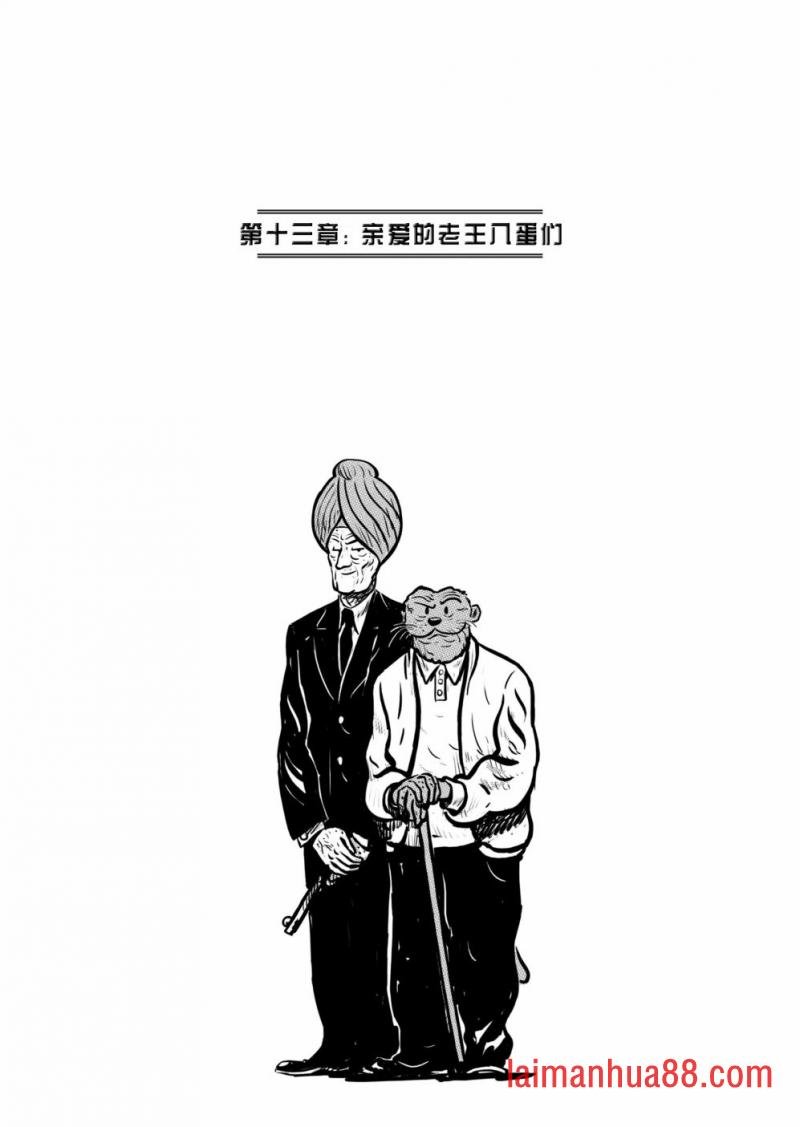 第13卷