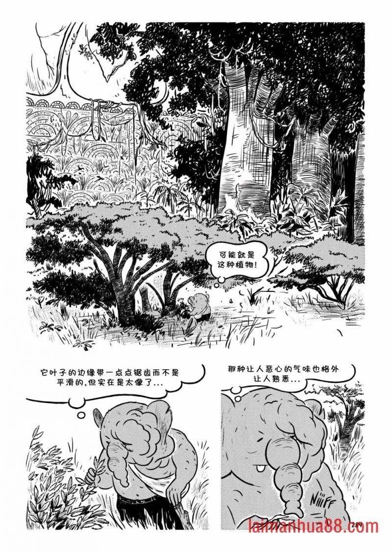第13卷