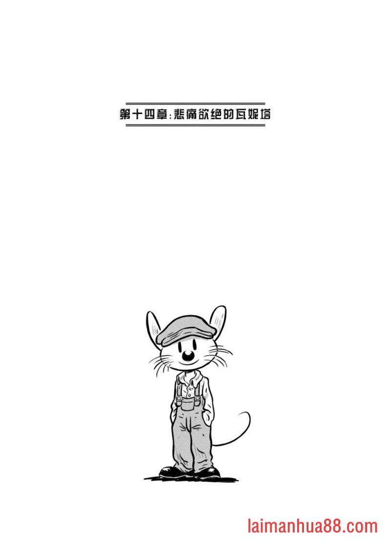 第14卷