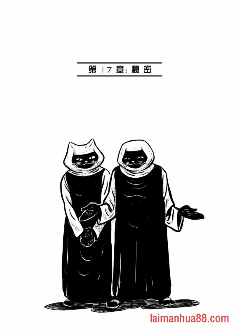 第17卷