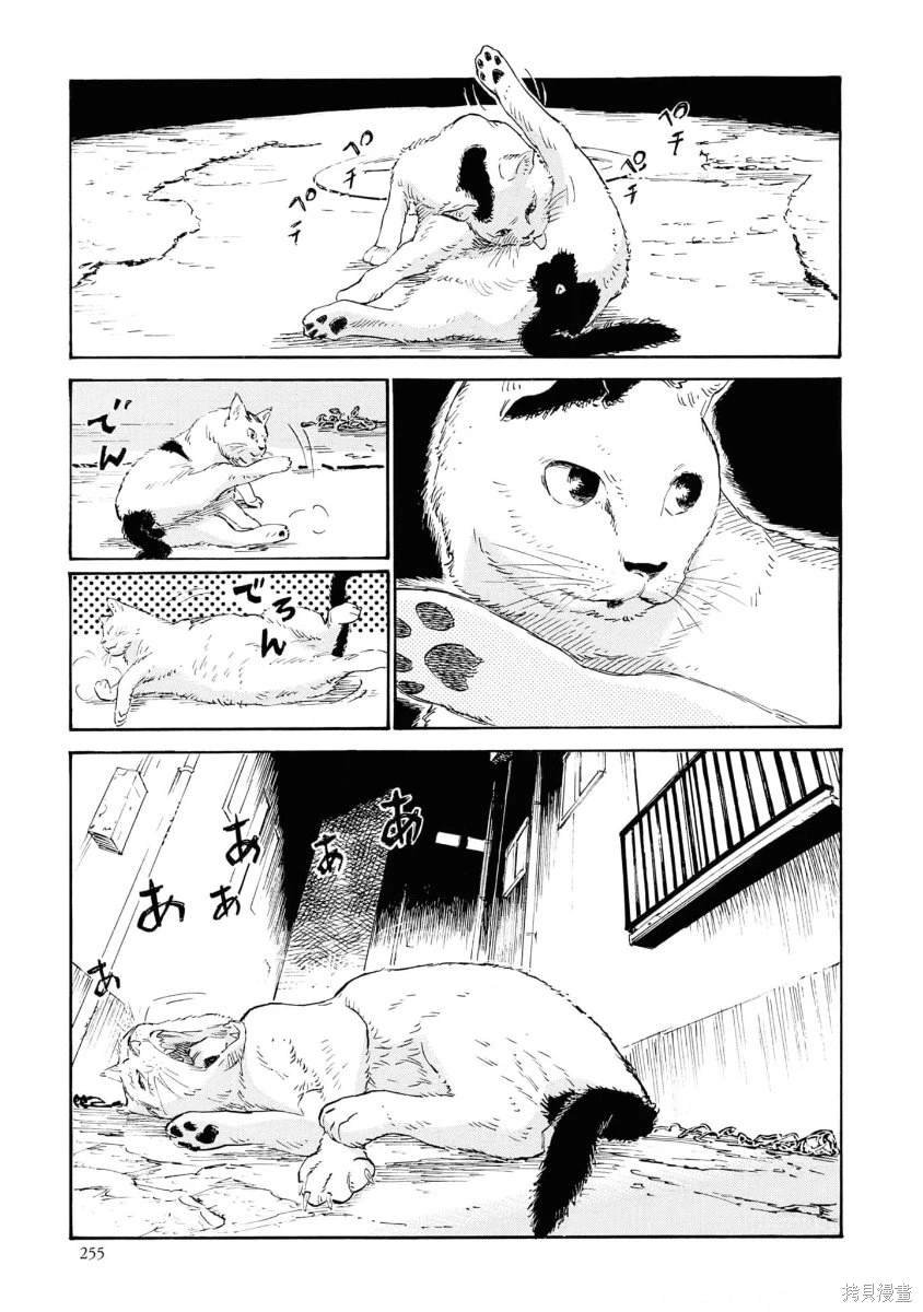第12话