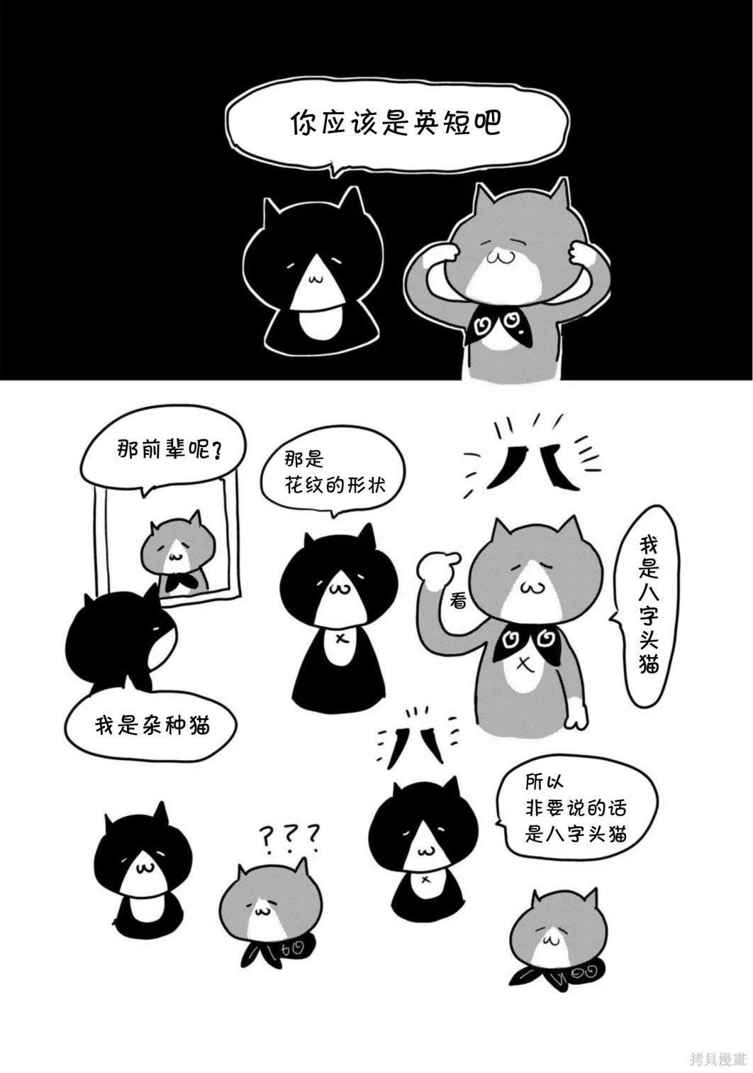 04卷后记
