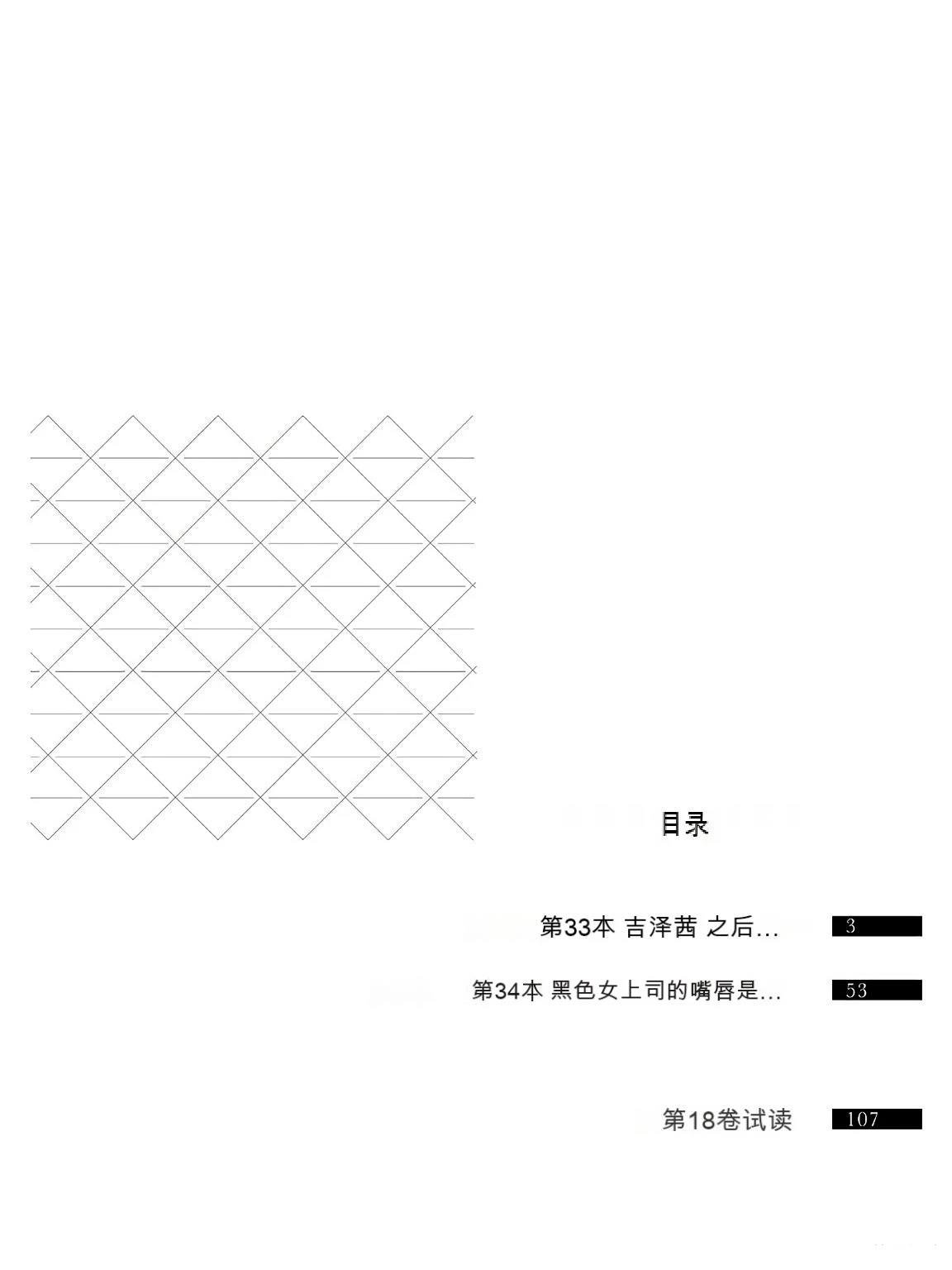 第17卷 (机翻)