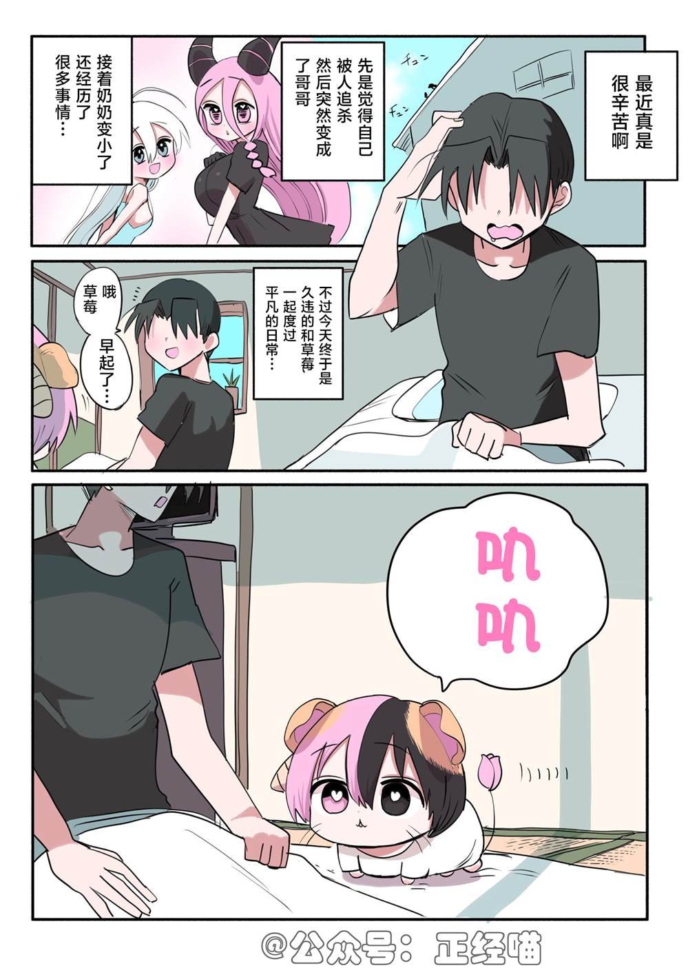 混血魅魔的日常…？