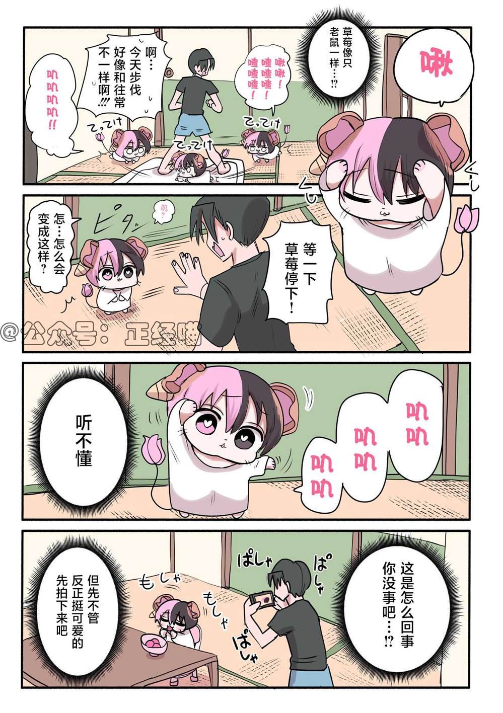 混血魅魔的日常…？