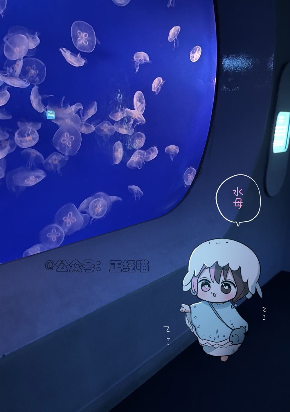 现实里的小草莓