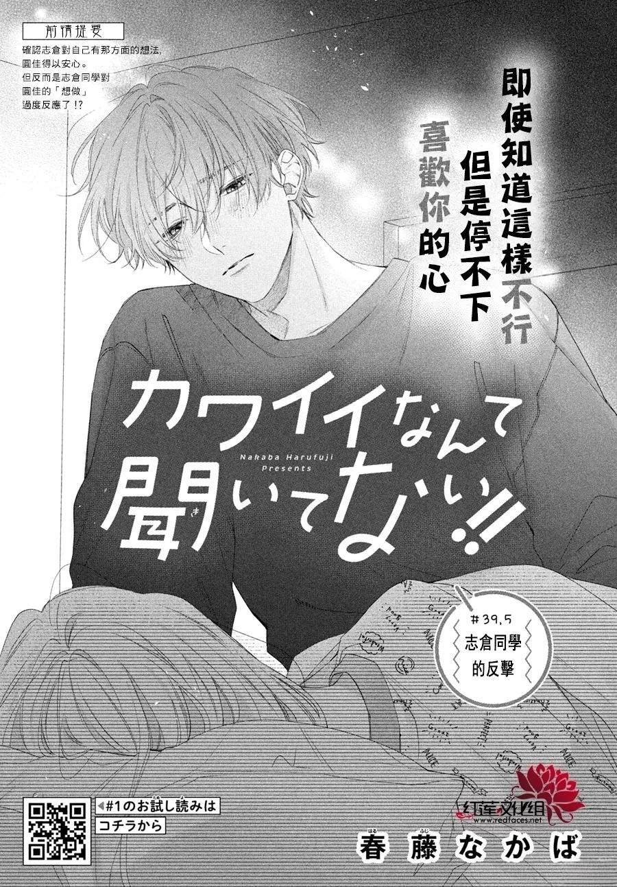 第39.5话