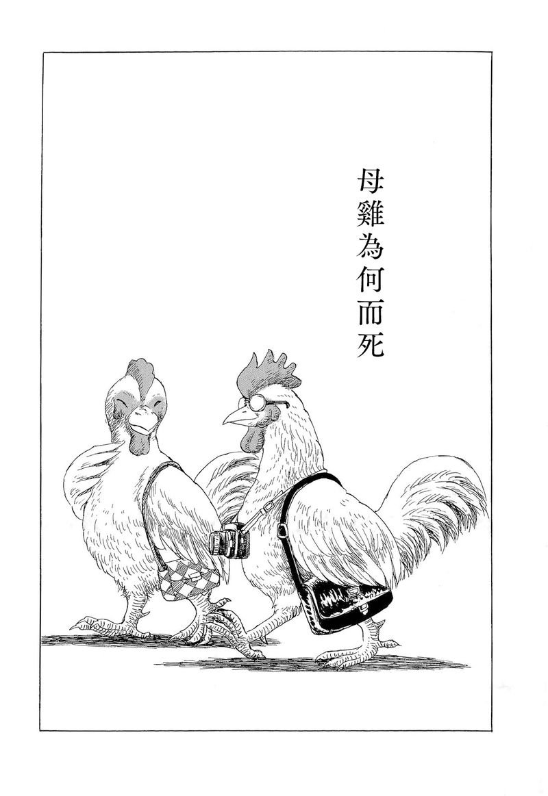 母鸡为何而死