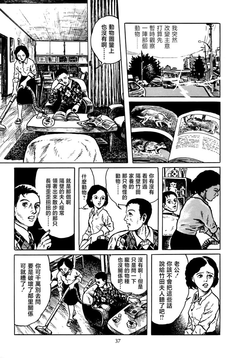 孩子的游戏