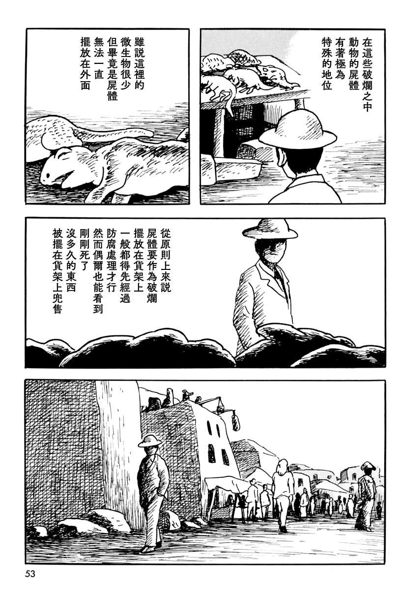 来自遥远的国度