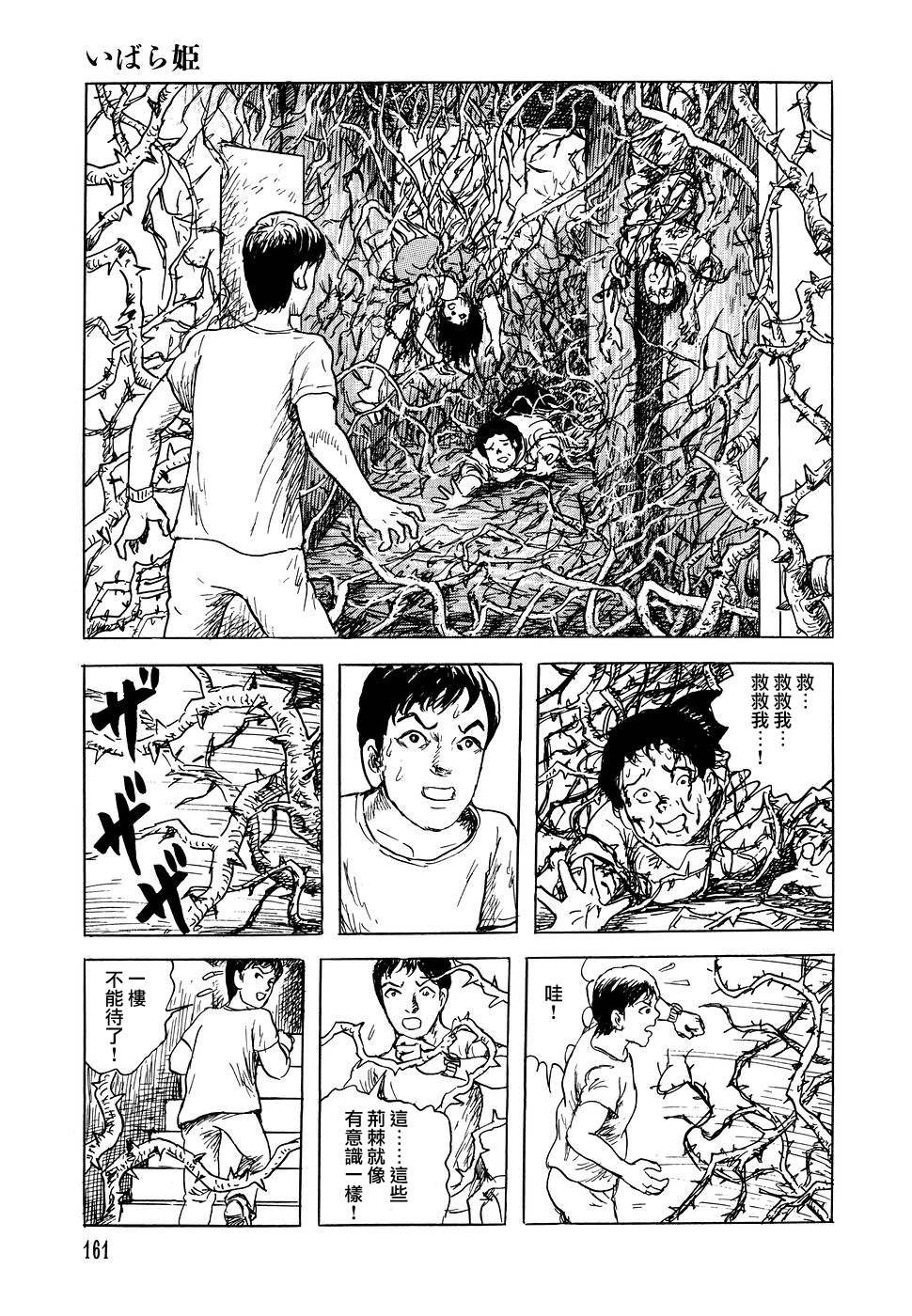 荆棘公主
