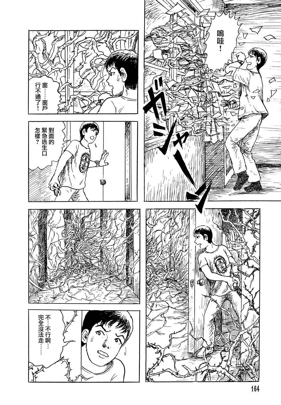 荆棘公主
