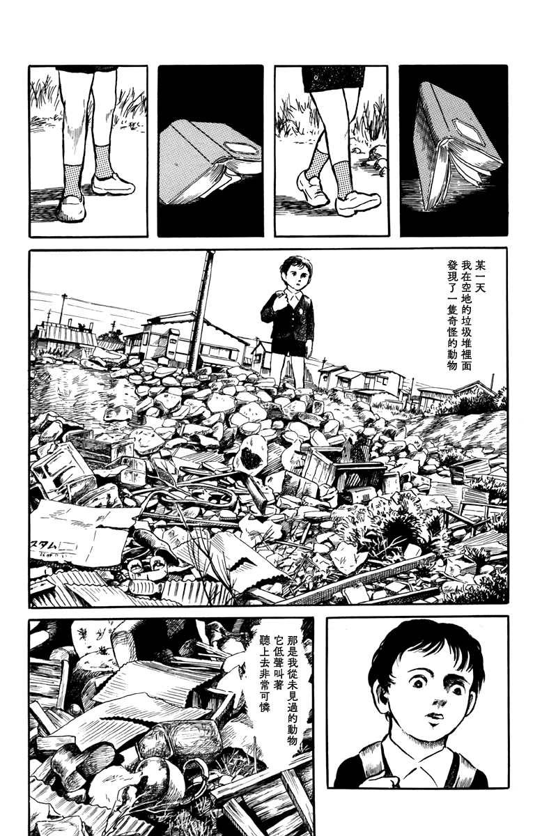 袋中黑影