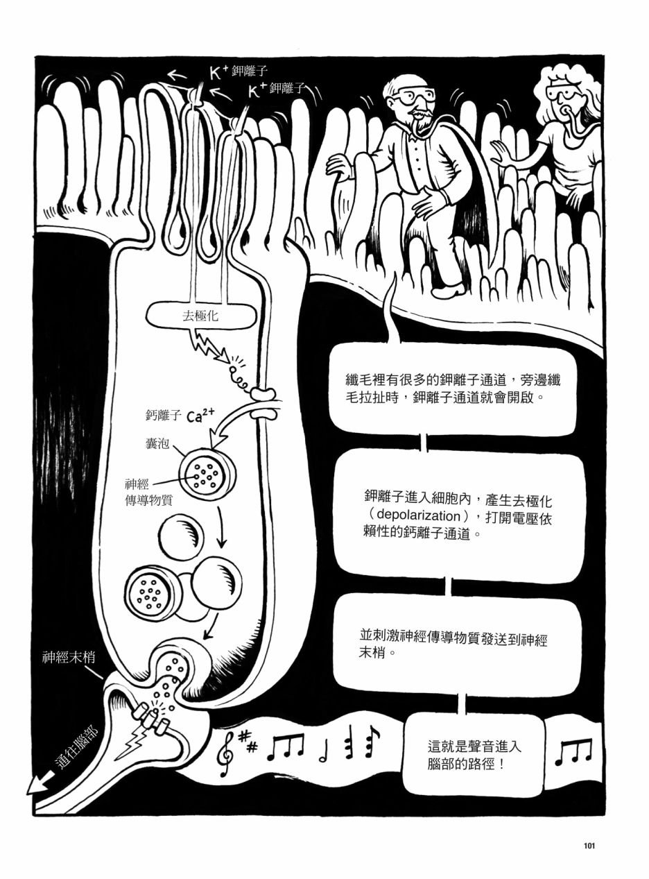 全一卷