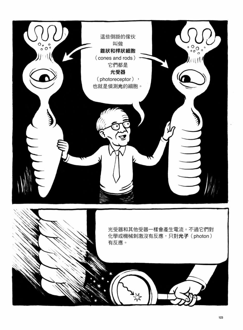全一卷