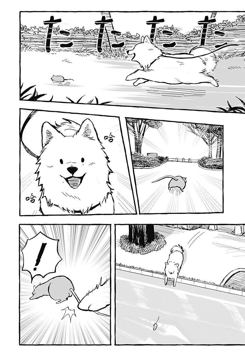 短篇