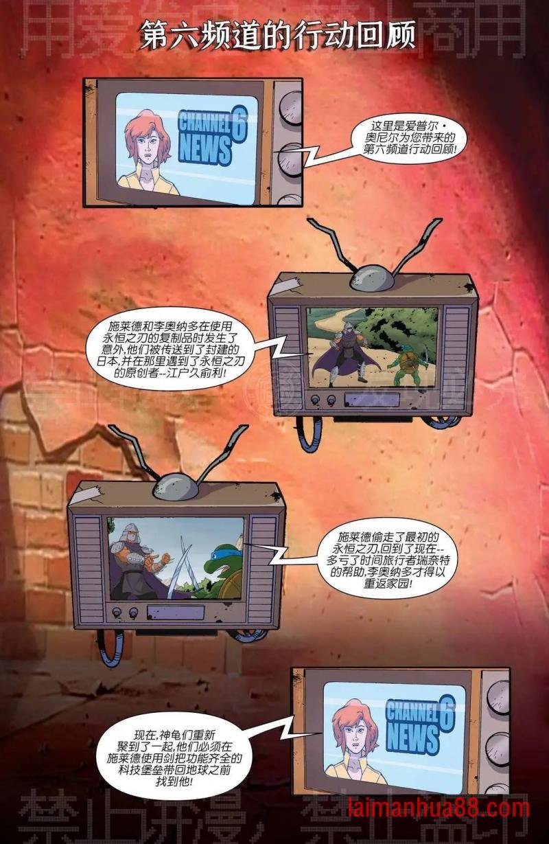 第11期
