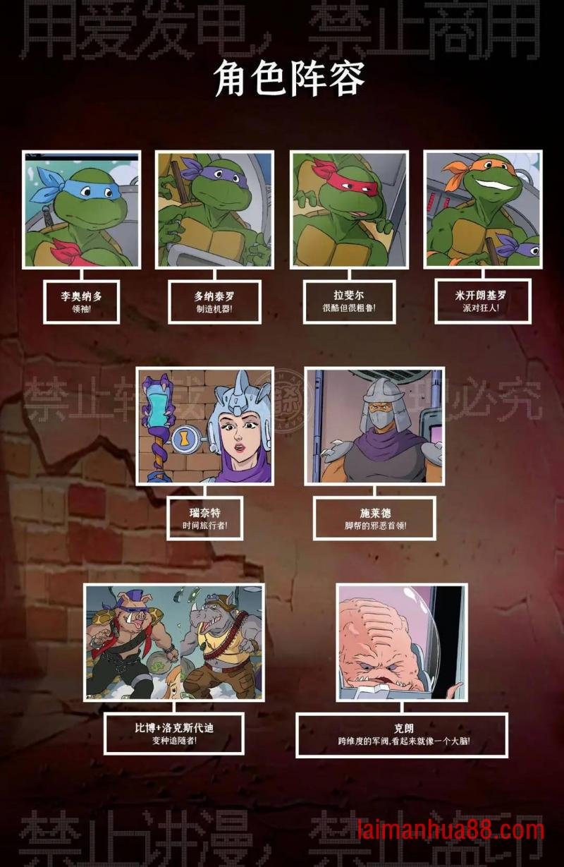 第11期