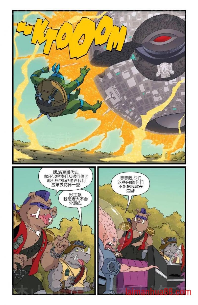 第11期
