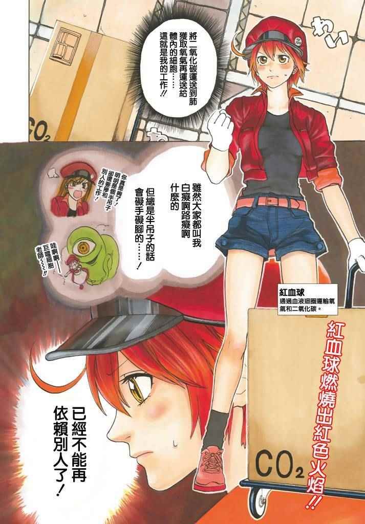 第10话 血液循环