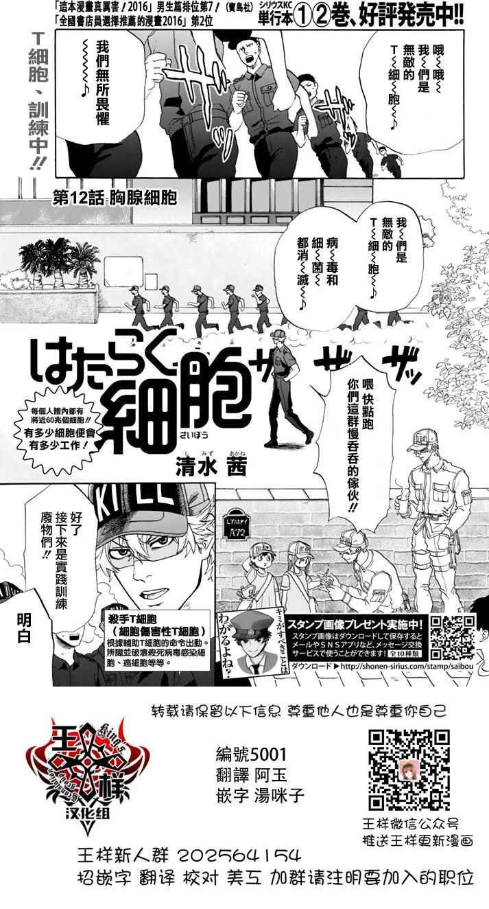 第12话 胸腺细胞