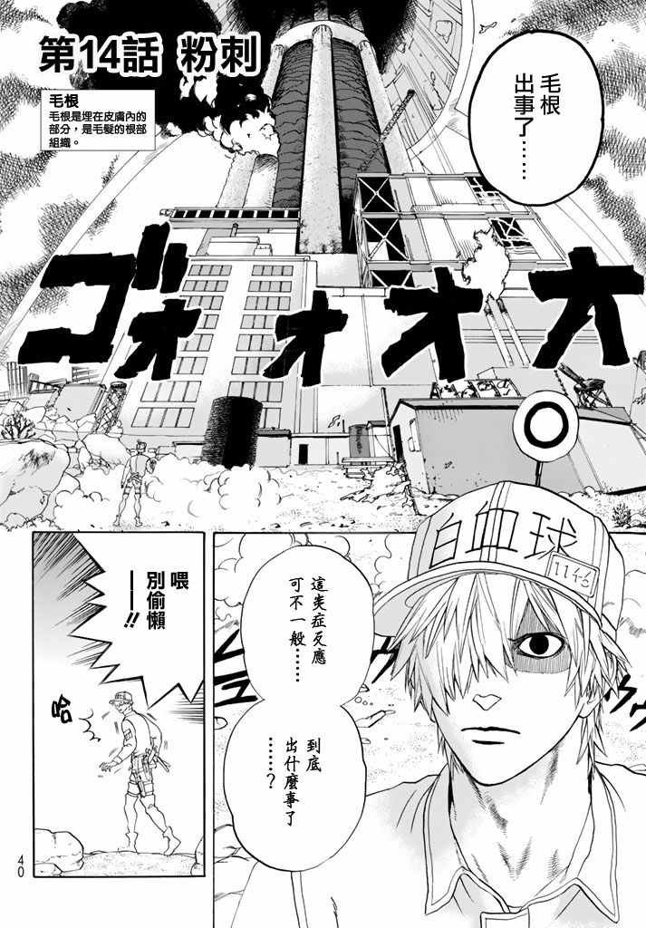 第14话 粉刺