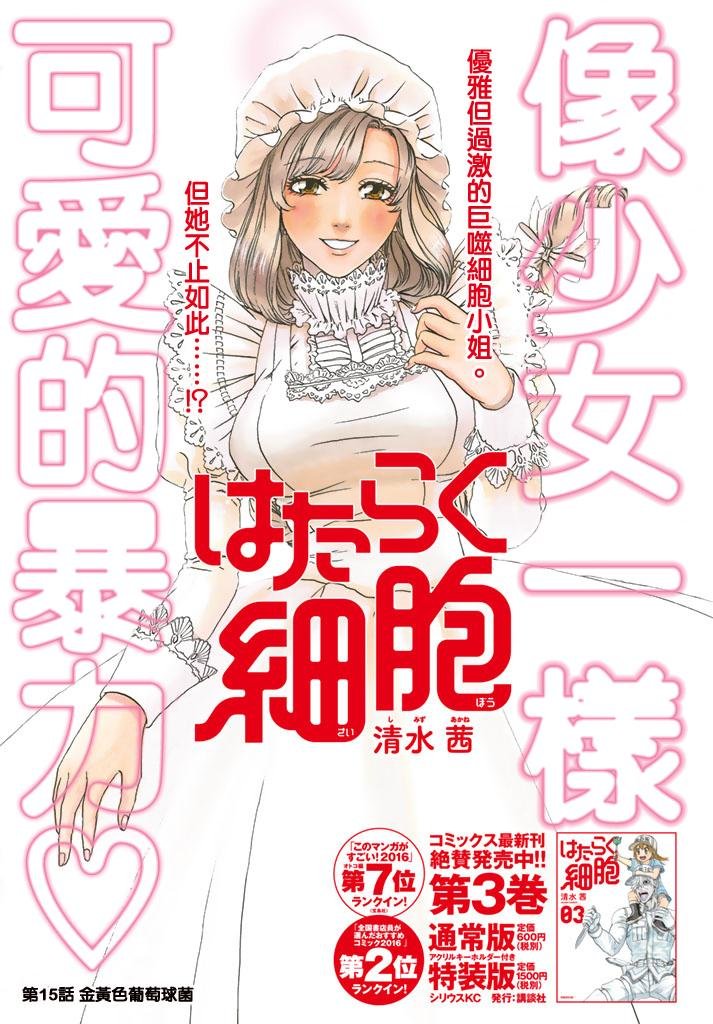 第15话 金黄色的的葡萄球菌