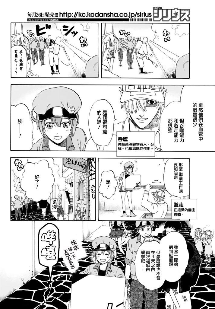 第15话 金黄色的的葡萄球菌