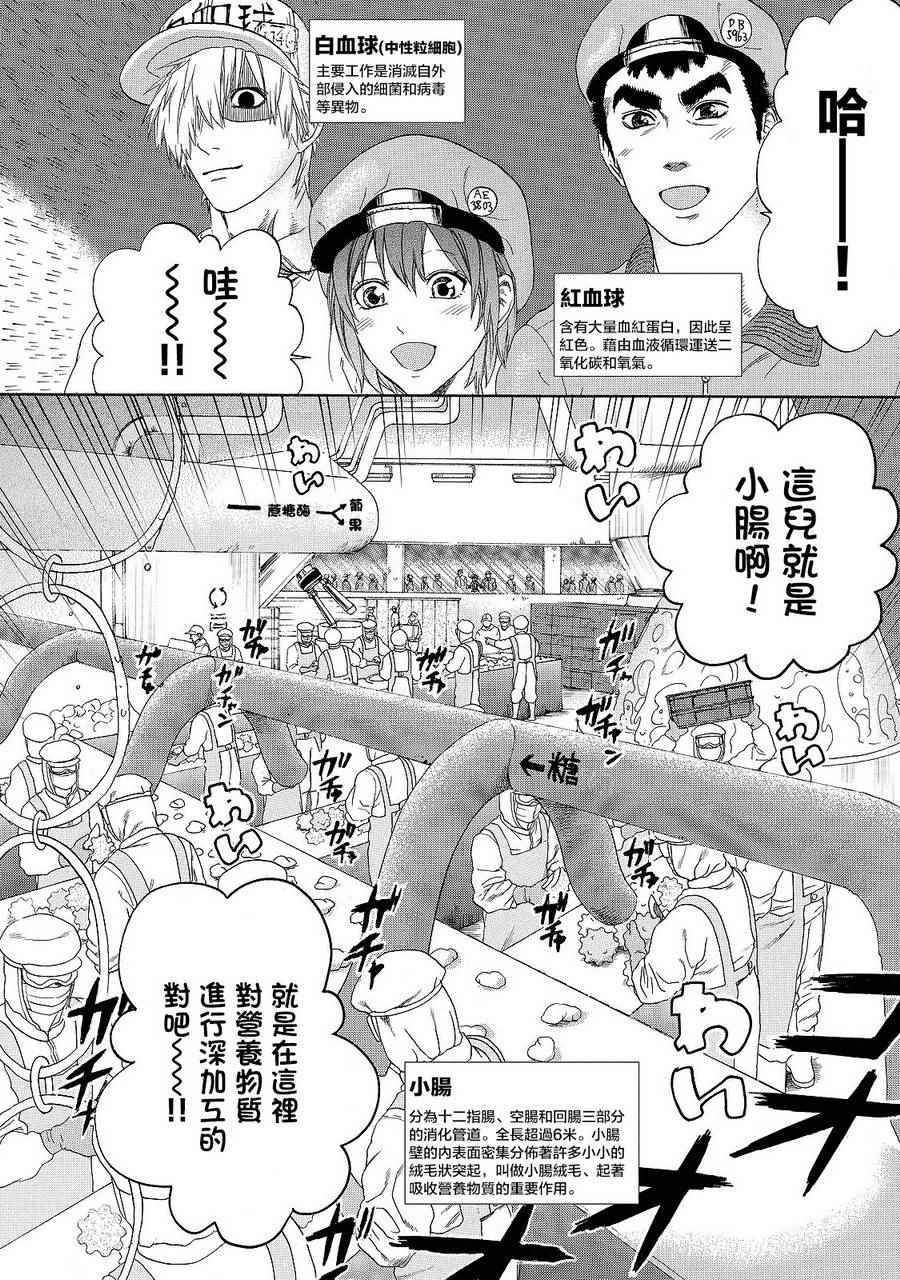 第19话 派伊尔淋巴结