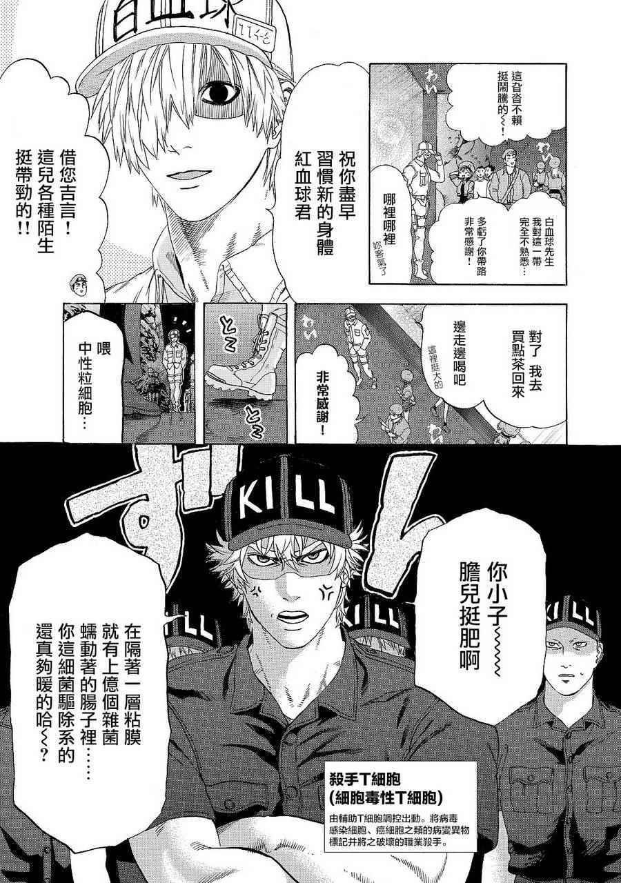第19话 派伊尔淋巴结