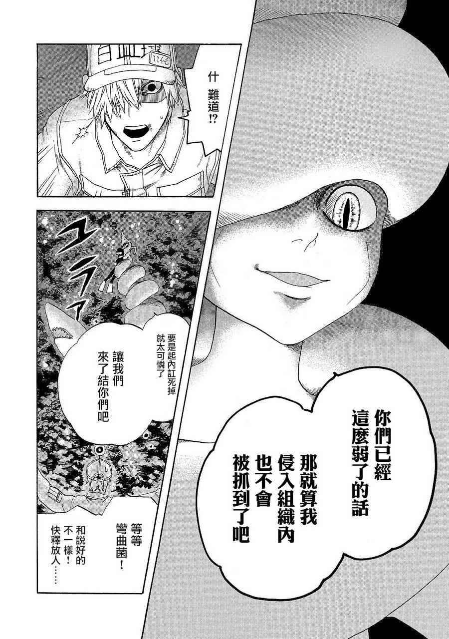 第19话 派伊尔淋巴结