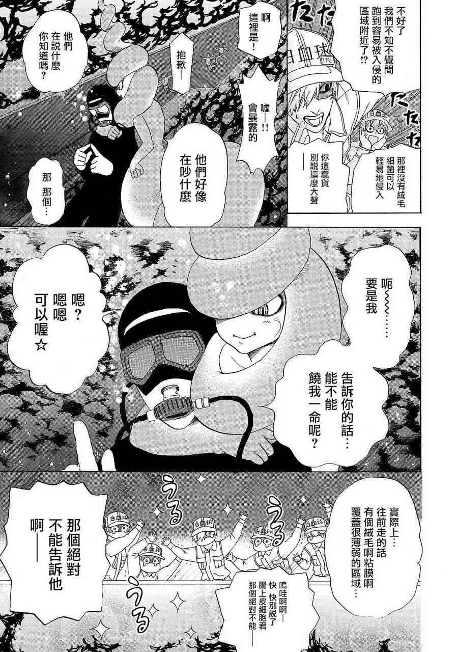 第19话 派伊尔淋巴结