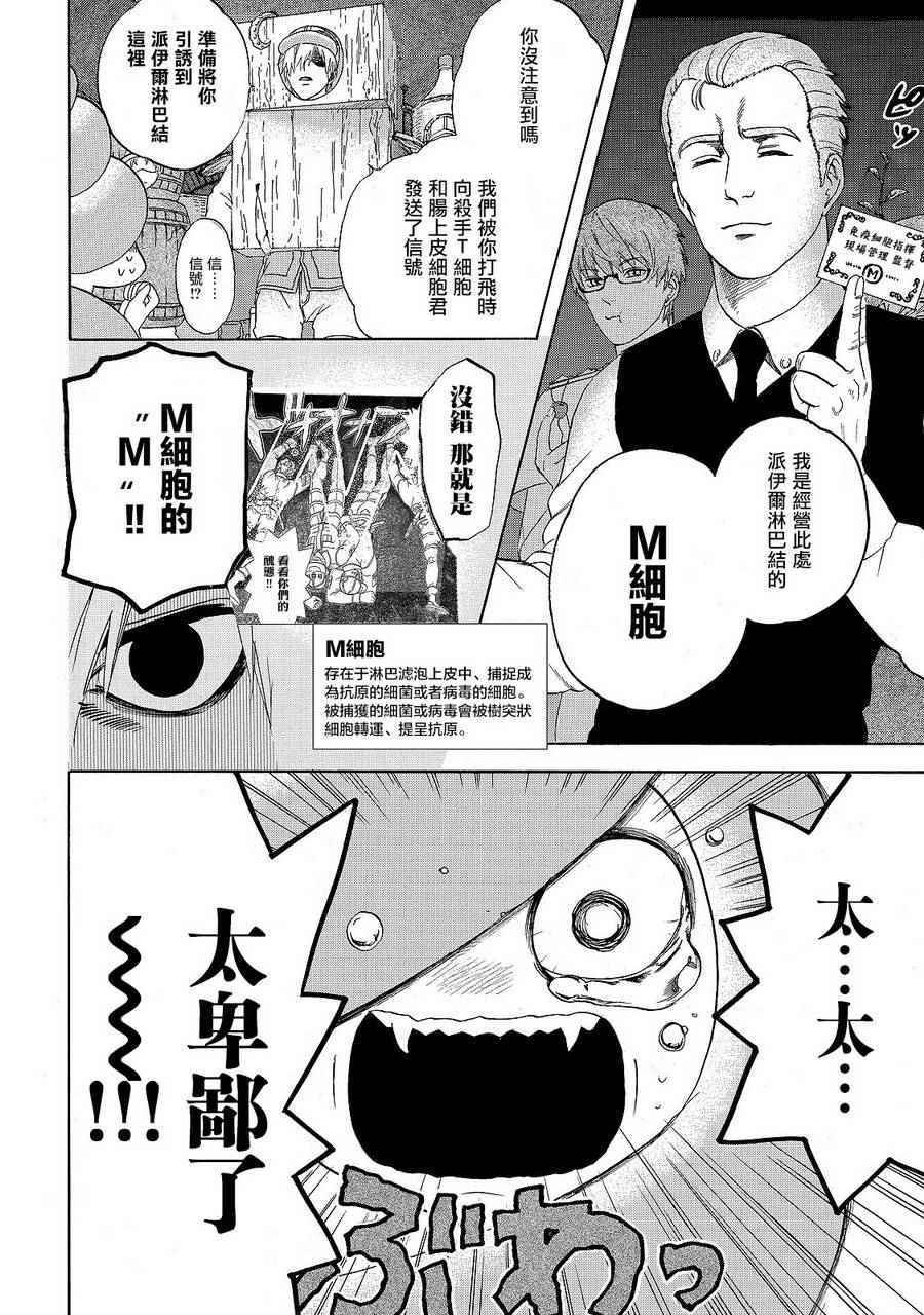 第19话 派伊尔淋巴结