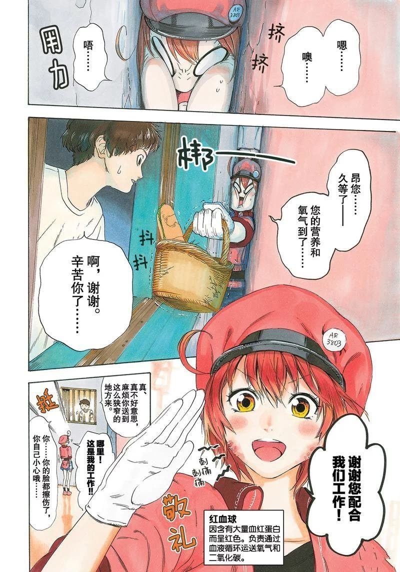 第26话 试看版