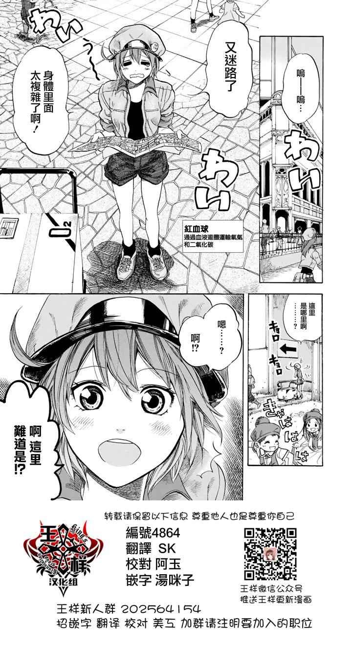 第7话 有核红细胞和骨髓细胞