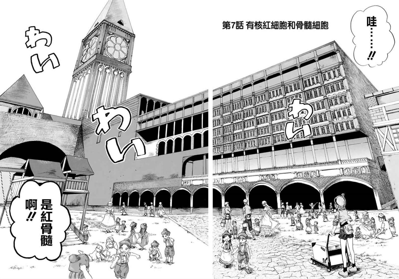 第7话 有核红细胞和骨髓细胞