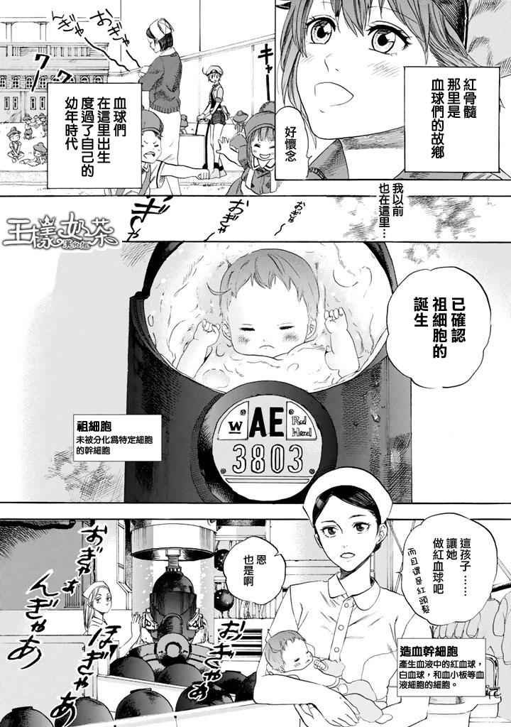 第7话 有核红细胞和骨髓细胞