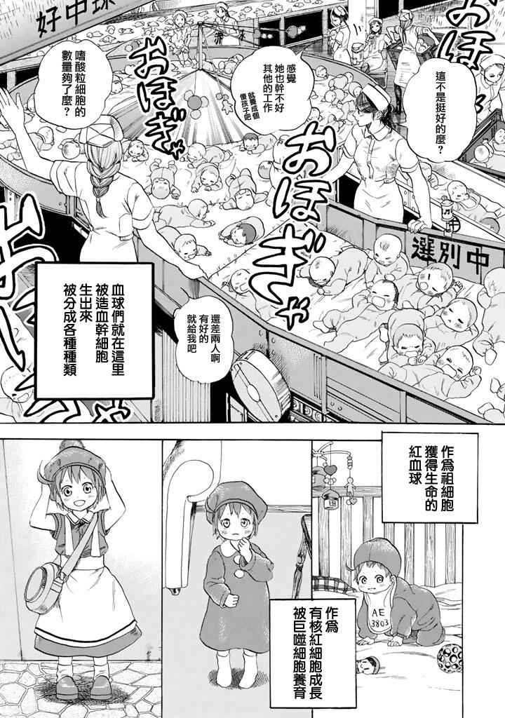 第7话 有核红细胞和骨髓细胞