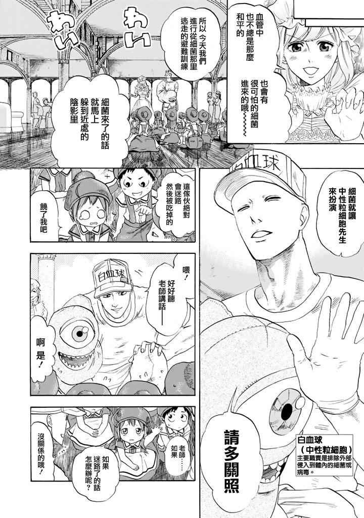 第7话 有核红细胞和骨髓细胞