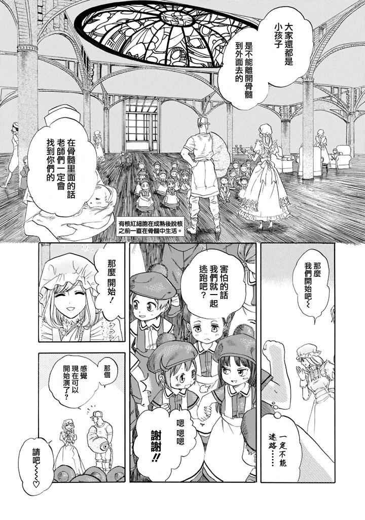 第7话 有核红细胞和骨髓细胞
