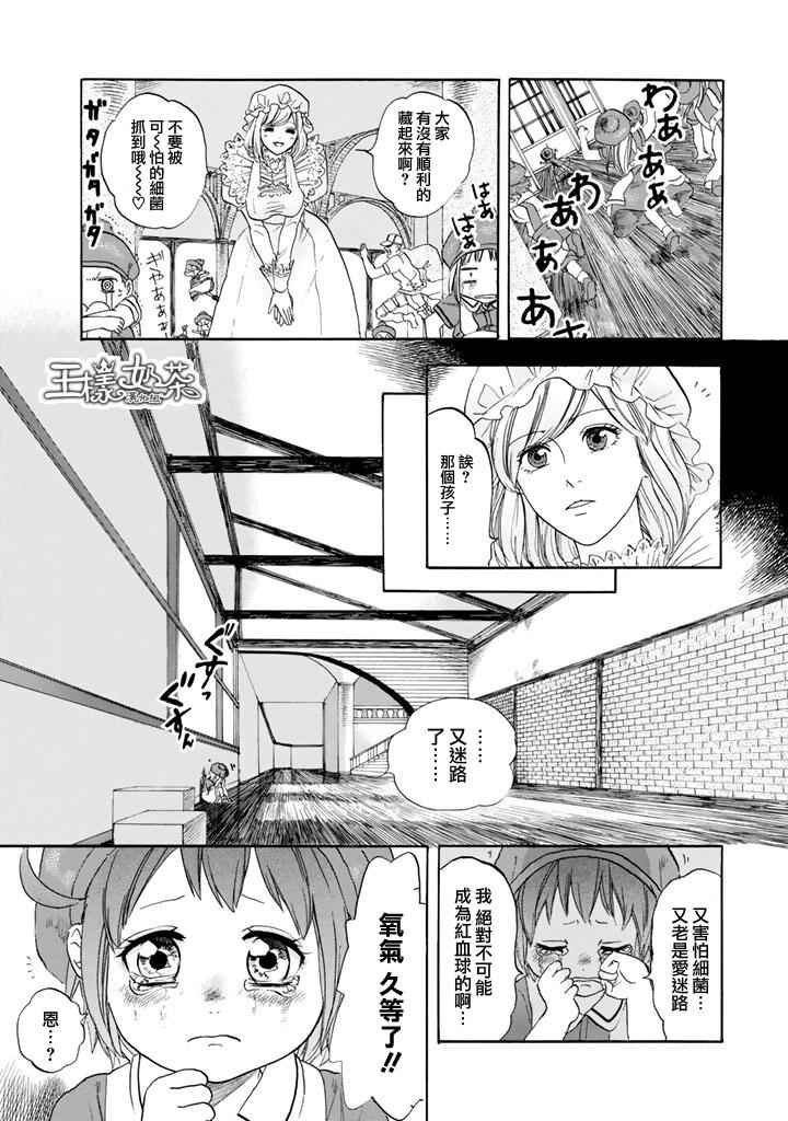 第7话 有核红细胞和骨髓细胞