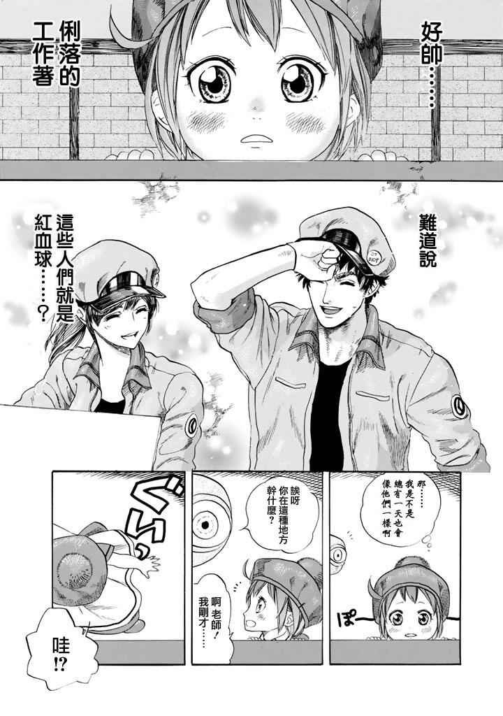 第7话 有核红细胞和骨髓细胞