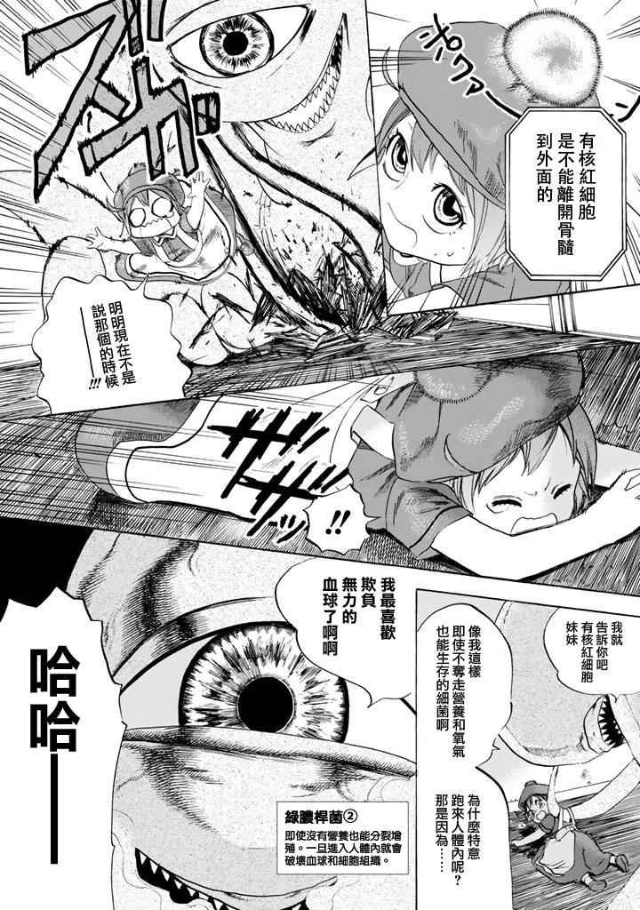 第7话 有核红细胞和骨髓细胞