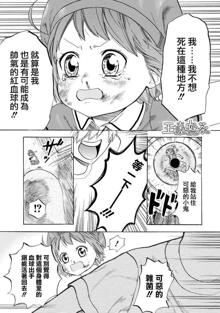 第7话 有核红细胞和骨髓细胞