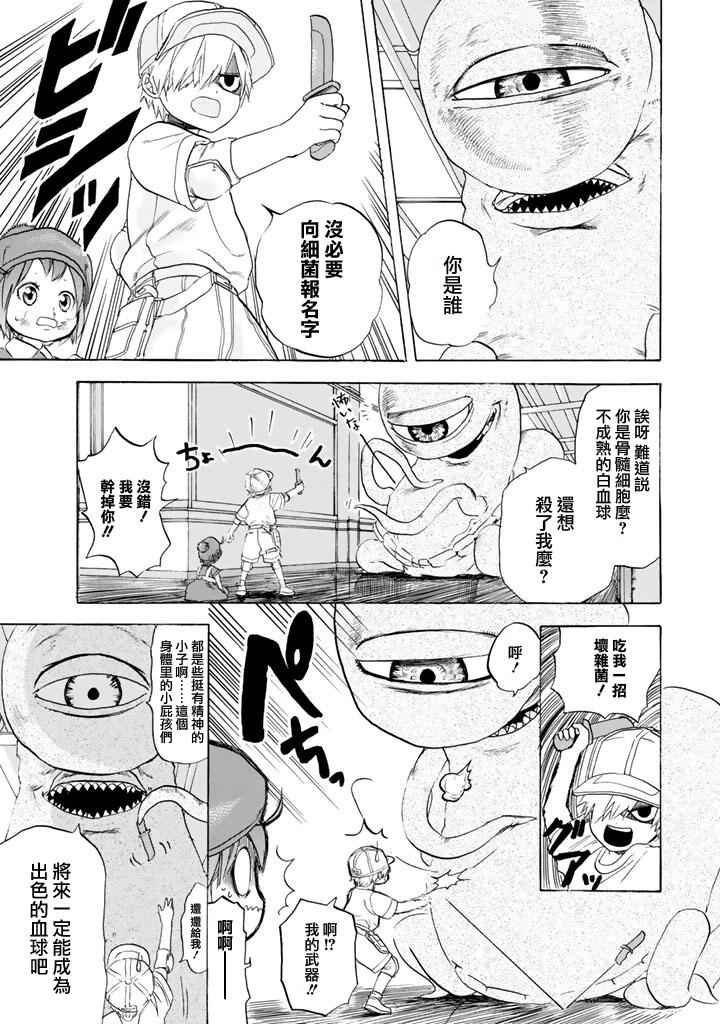 第7话 有核红细胞和骨髓细胞